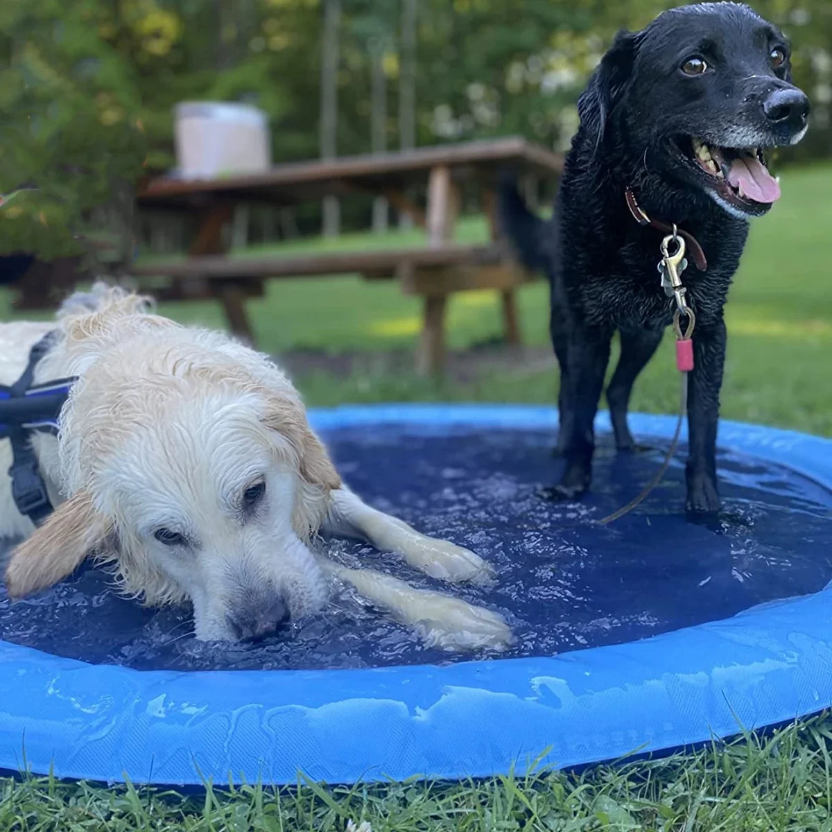 Piscina Inflable para Mascotas con Rociador